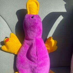 Patti the platypus beanie baby